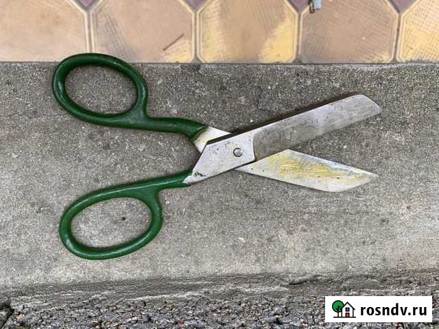 Ножницы Каспийск - изображение 1