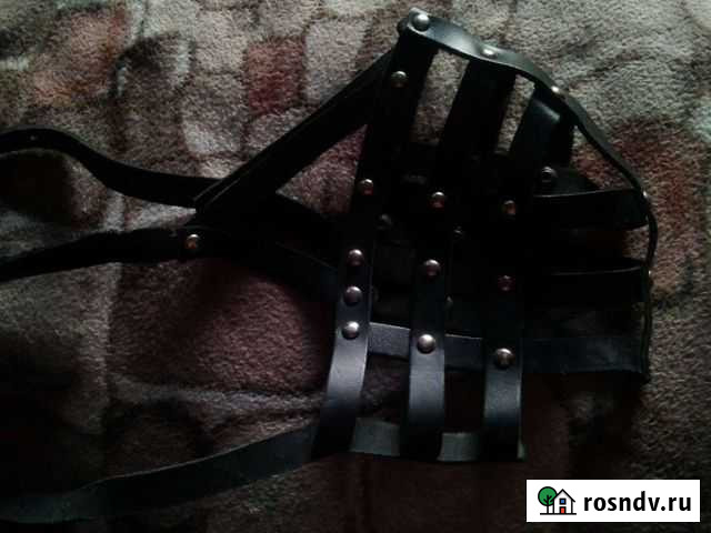 Намордник Серафимович - изображение 1