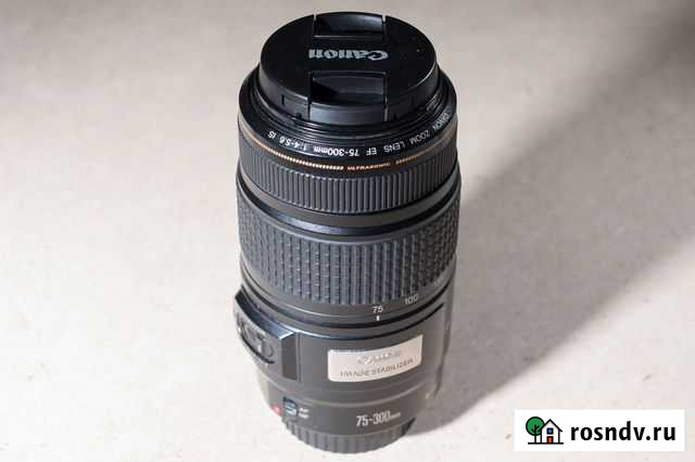 Объектив Canon EF 75-300 Вологда - изображение 1