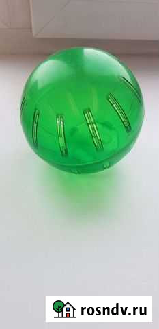 Шарик для хомяка Шадринск - изображение 1