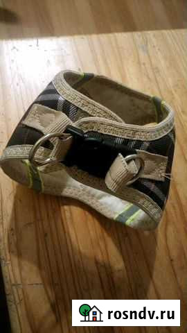 Шлейка для маленьких (мелких) собак Санкт-Петербург - изображение 1