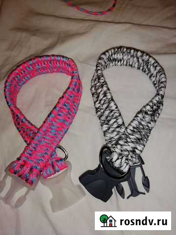 Ошейник для собак Санкт-Петербург - изображение 1