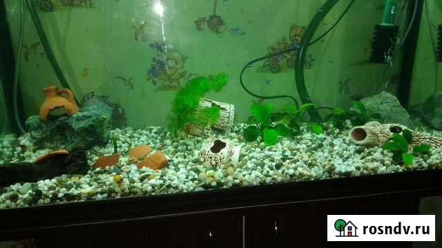 Аквариум 180 литров Москва - изображение 1