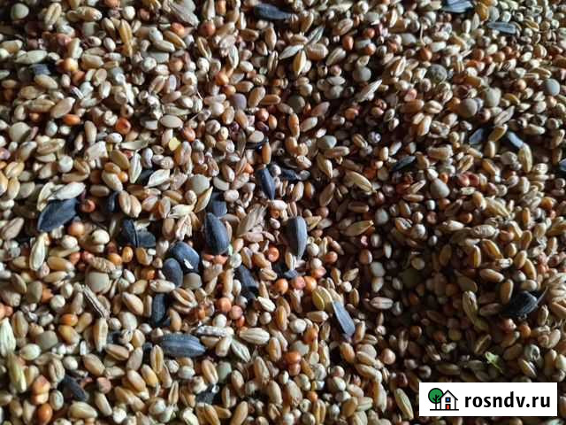 Зерно смесь Морозовск - изображение 1