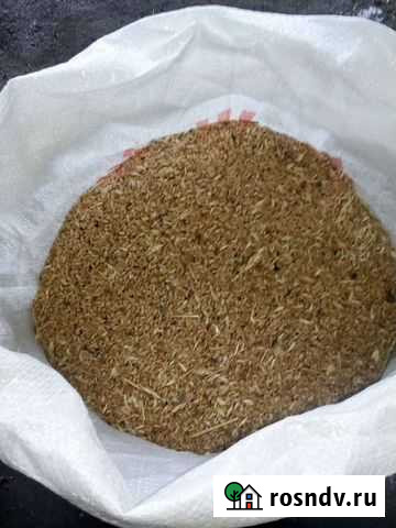 Зерно пшеница Кваркено - изображение 1