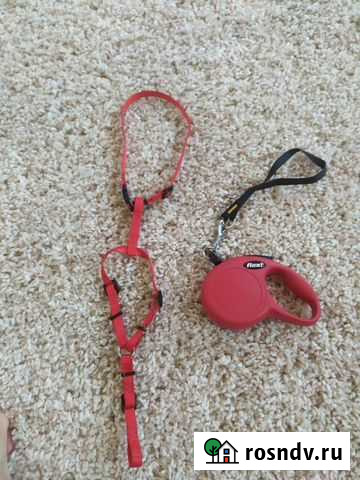 Шлейка и поводок Нижний Новгород - изображение 1