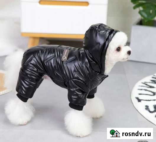 Комбинезон зимней для маленькой собаки Санкт-Петербург - изображение 1