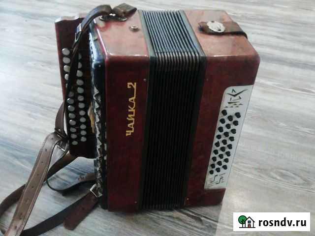 Гармонь чайка 2 теза Арзамас - изображение 1