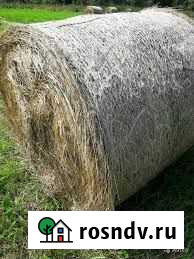 Сено в рулонах, пресс гласс 300кг Учалы - изображение 1