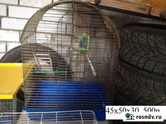 Клетки разные Щербинка - изображение 1