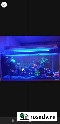 Морской аквариум, террариум, полюдариум. Создание Калуга - изображение 1