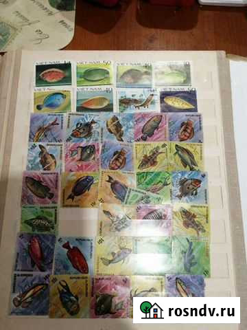 Коллекция марок Сыктывкар - изображение 1