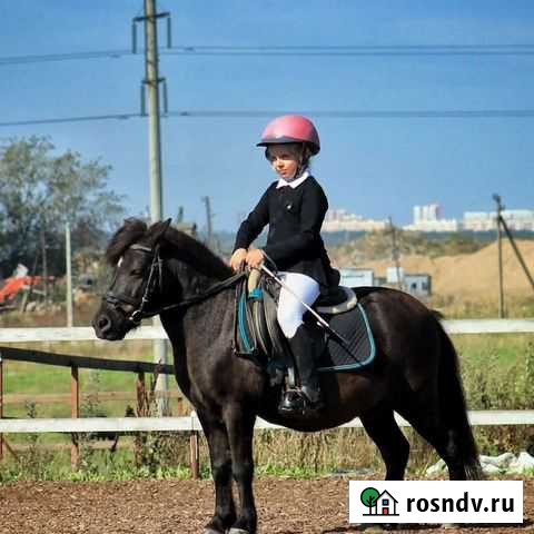 Обучение верховой езде детей и взрослых Москва - изображение 1