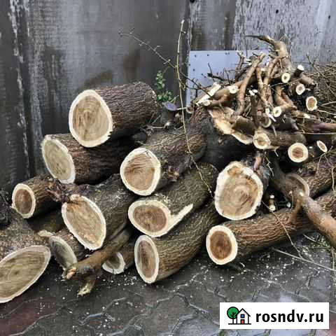 Дрова. Кряжи от спила деревьев Кострома - изображение 1