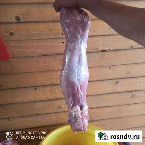 Мясо кролика Барнаул