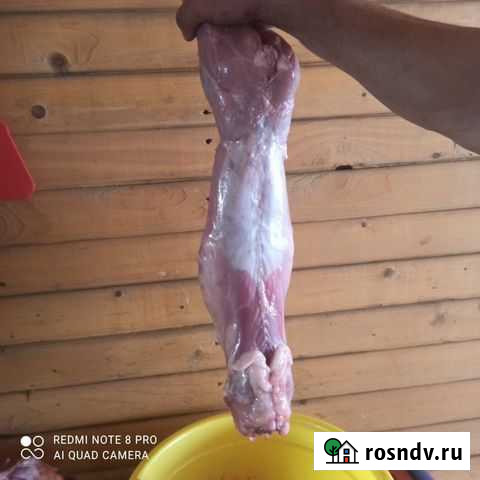 Мясо кролика Барнаул - изображение 1