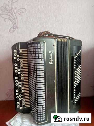 Баян Рубин 5 Алейск - изображение 1