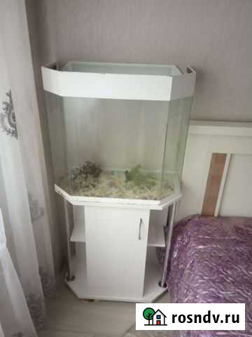 Аквариум на 60 л с тумбочкой Симферополь - изображение 1