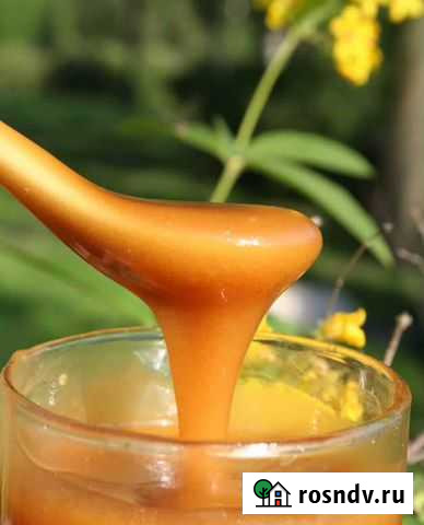 Мед алтайский. Натуральный. Доставка по городу Астрахань - изображение 1