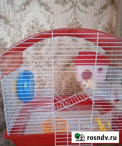 Клетки с комплектом (хомяки) Москва - изображение 1