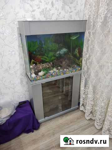 Аквариум с тумбой 150 литров Салават - изображение 1