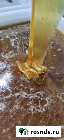 Мёд таёжный с дягилем Санкт-Петербург - изображение 1