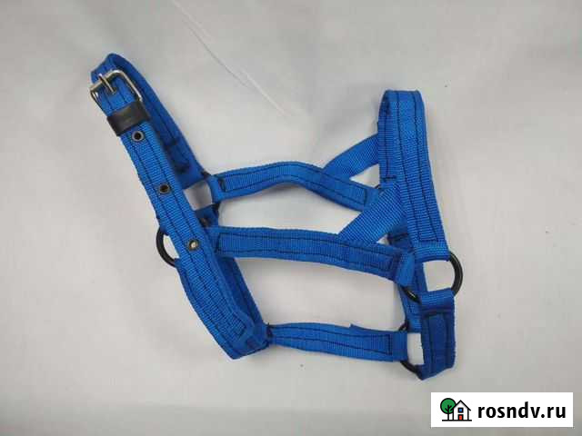 Недоуздок для пони -жеребенка Санкт-Петербург - изображение 1