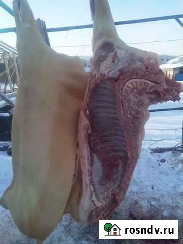 Мясо свинина домашняя Белокуриха - изображение 1