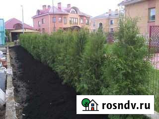Весь спектр садово-огородных услуг Гатчина - изображение 1