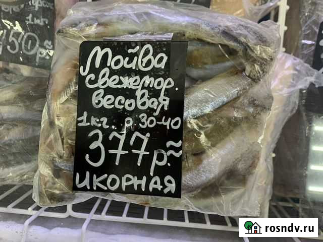 Свежемороженая мойва икорная Киров - изображение 1