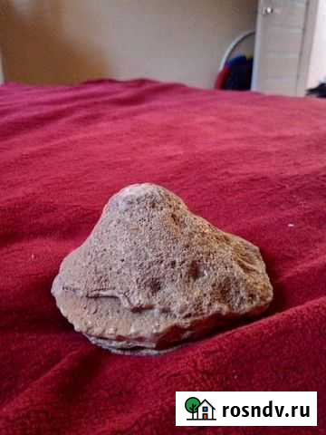 Окаменелость Губка-Коралл Иркутск - изображение 1