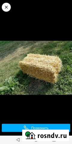 Солома в тюках Новокорсунская - изображение 1