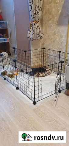 Вольер для животных Омск - изображение 1