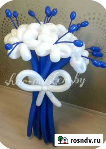 Букет из воздушных шаров Чита - изображение 1