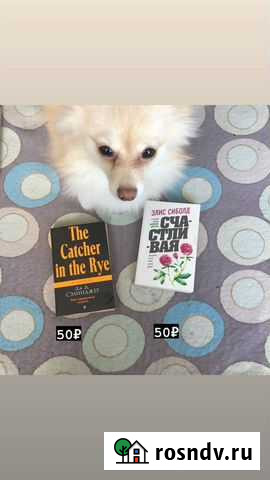 Книги в мягкой обложке Хабаровск - изображение 1