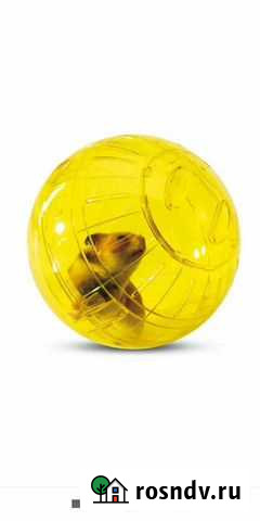 Шар для хомяка, прогулочный поводок, поилка Санкт-Петербург - изображение 1