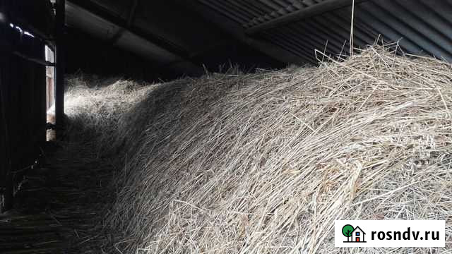 Продам сено на самовывоз Иволгинск - изображение 1