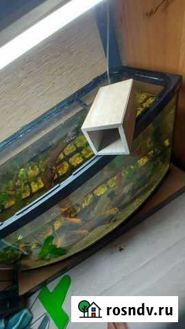 Домики для сомов Санкт-Петербург - изображение 1