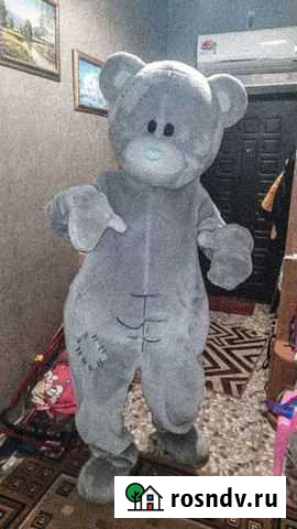 Мишка тедди на праздник Михайловск - изображение 1