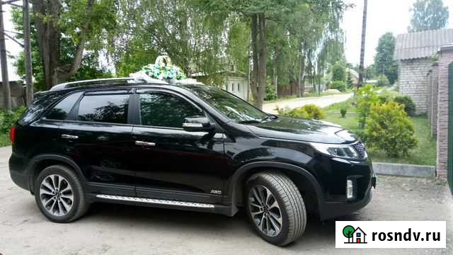 Пассажирские перевозки, свадьбы Ржев - изображение 1