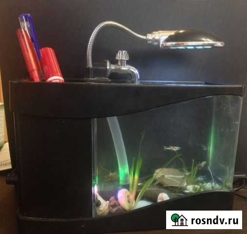 Аквариум 1,5 литра Новосибирск - изображение 1