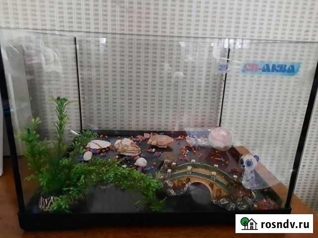 Террариум для красноухой черепахи Петропавловск-Камчатский - изображение 1