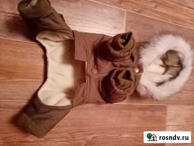 Одежда для маленьких собак Междуреченск - изображение 1