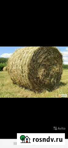 Сено Междуреченск - изображение 1