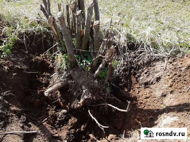 Копка траншей покос травы разбор домов копка колец Ярцево - изображение 1