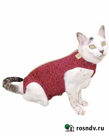 Комбинезон послеоперационный Нижний Тагил - изображение 1