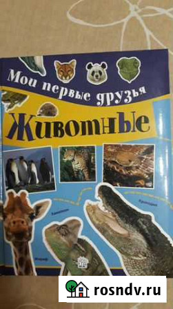 Мои первые друзья. Животные Черветто, Каневаро Санкт-Петербург - изображение 1