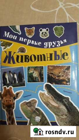 Мои первые друзья. Животные Черветто, Каневаро Санкт-Петербург - изображение 1