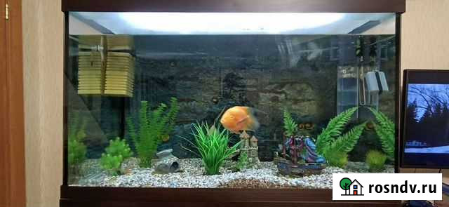 Аквариум на 576 литров Новосибирск - изображение 1