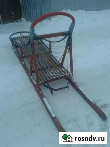 Нарта для тренировок и проката Екатеринбург - изображение 1